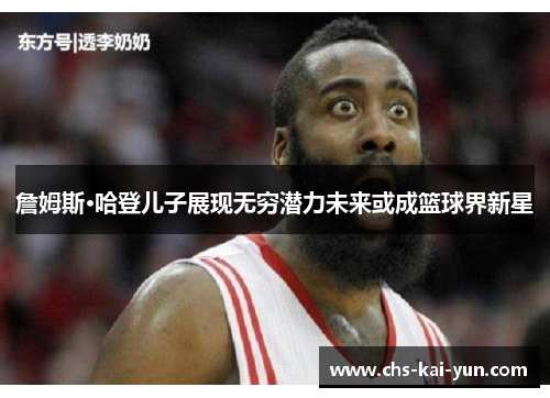 詹姆斯·哈登儿子展现无穷潜力未来或成篮球界新星