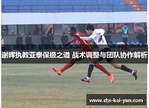谢晖执教亚泰保级之道 战术调整与团队协作解析