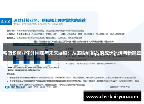 费南多职业生涯回顾与未来展望：从巅峰到挑战的成长轨迹与新篇章