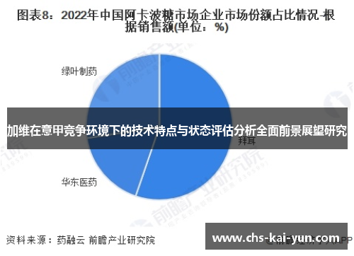 加维在意甲竞争环境下的技术特点与状态评估分析全面前景展望研究