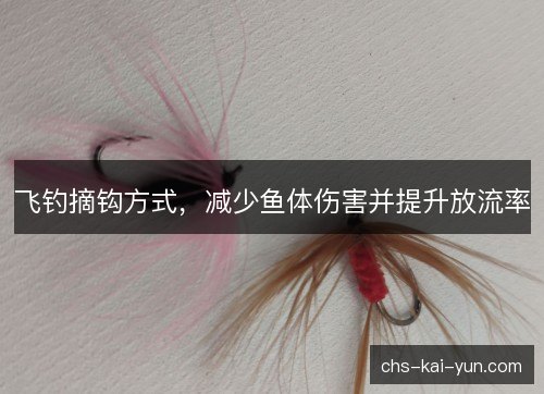 飞钓摘钩方式，减少鱼体伤害并提升放流率